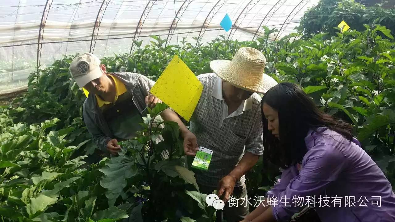 1504686949712046.jpg 0.jpg