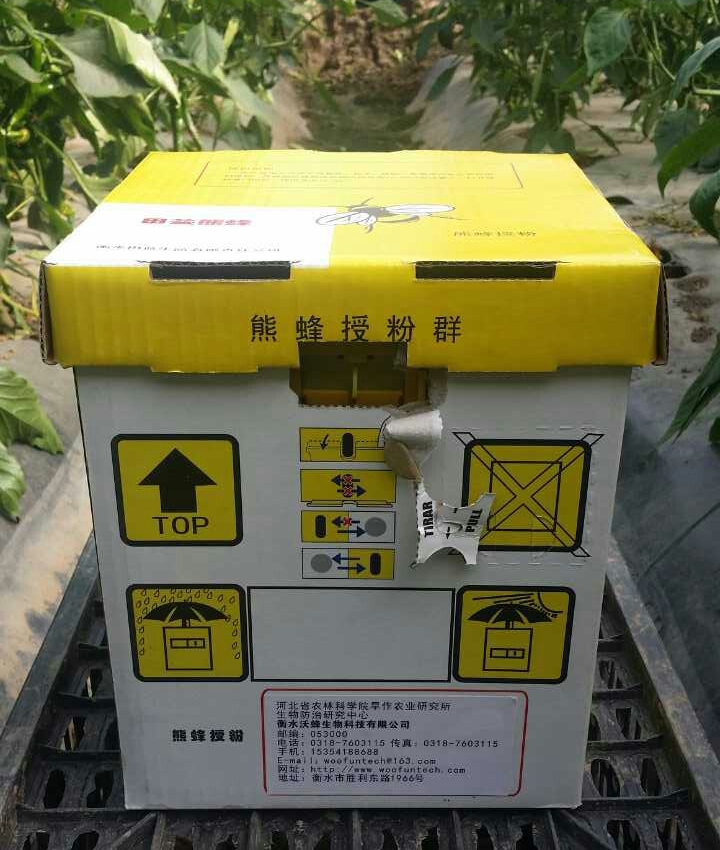 1504686988265420.jpg 1-150P1101335459.jpg