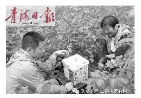 1504687054105686.jpg 0 (1).jpg