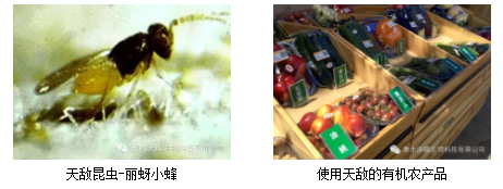 1504693287136199.png image.png